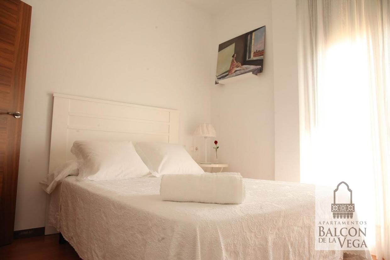 Apartamentos Balcon De La Vega Almodóvar del Río Esterno foto